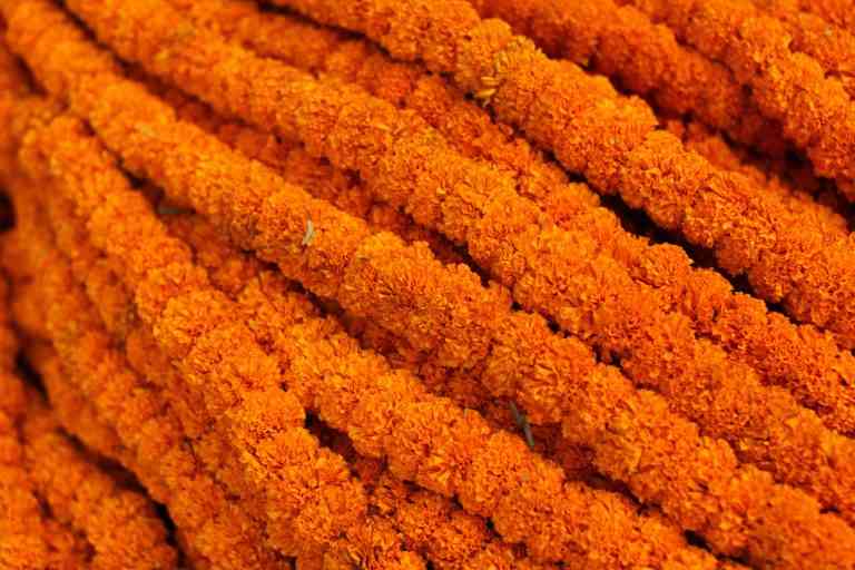 Closeup shot of flower decorations for a festival in Bodhgaya, India.